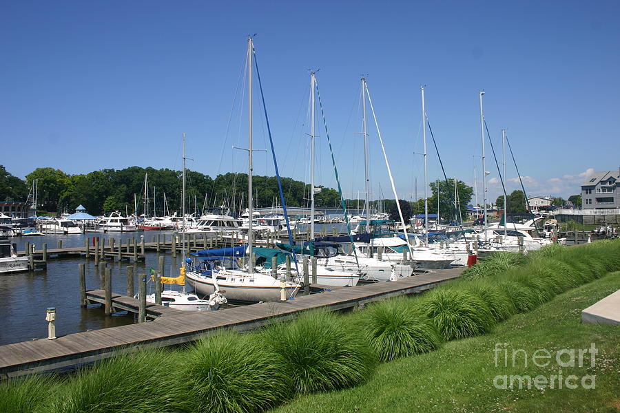 Marina on Black River by Rusty Green Marina on Black River by Rusty Green