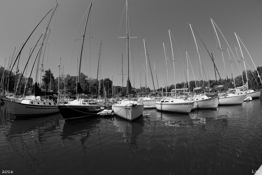Marina On Lake Murray S C Black and White Photograph by Lisa Wooten