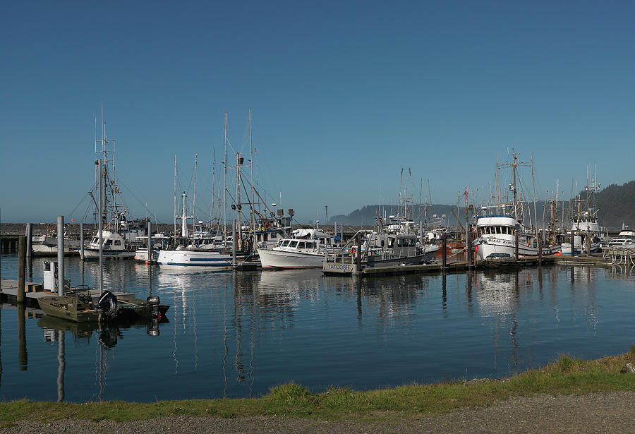 Marina on the Quileute Reservation Photograph by Elizabeth Birney ...