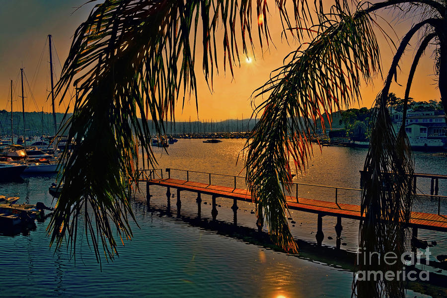 Marina Palm Sunset by Kaye Menner Photograph by Kaye Menner