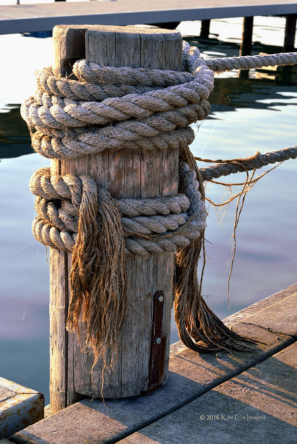 Marina Post and Ropes Photograph by Kae Cheatham