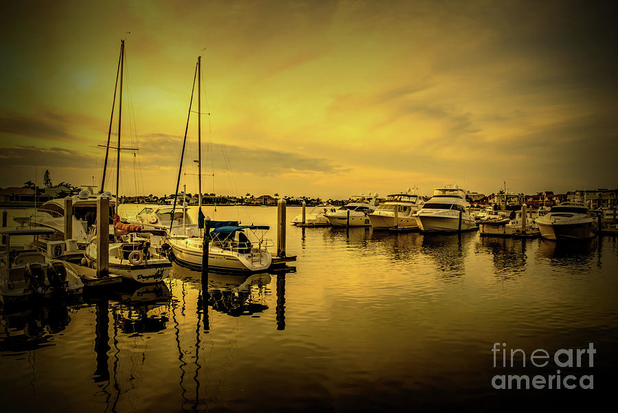 Marina Sunset, Golden Photograph by Debra Kewley