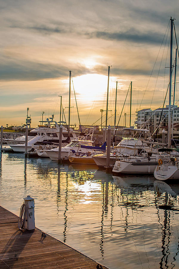 Marina Sunset Photograph by Mechala Matthews