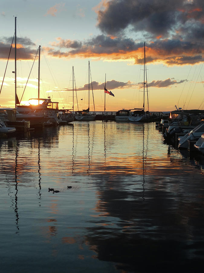 Marina Sunset Reflection Photograph by David T Wilkinson