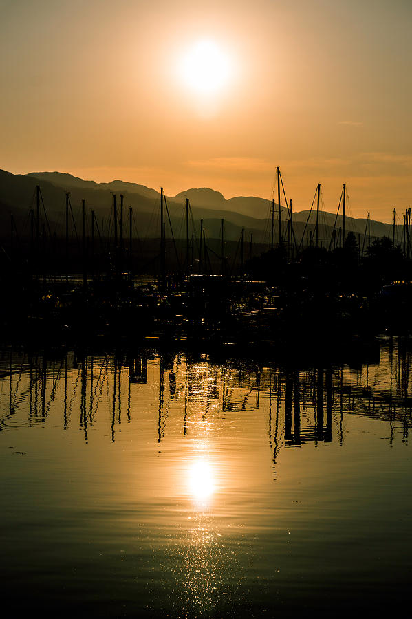 Marine Sunset Photograph by Wayne Enslow