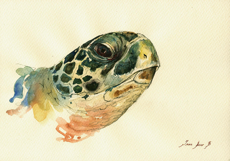 Sea Turtle Painting - Marine turtle by Juan  Bosco