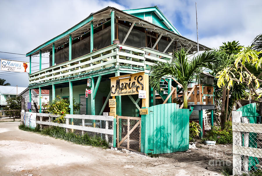 Marins on Caye Caulker Photograph by Lawrence Burry
