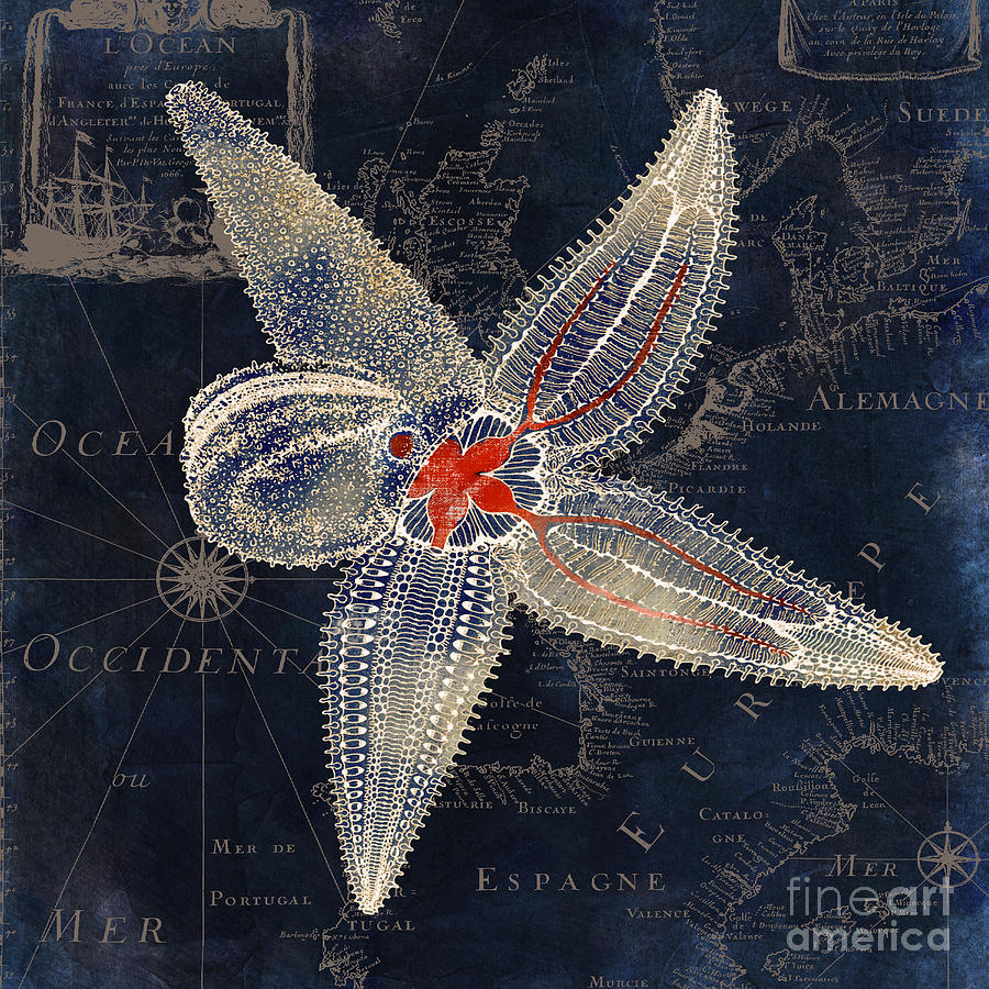 Starfish Painting - Maritime Blues II by Mindy Sommers