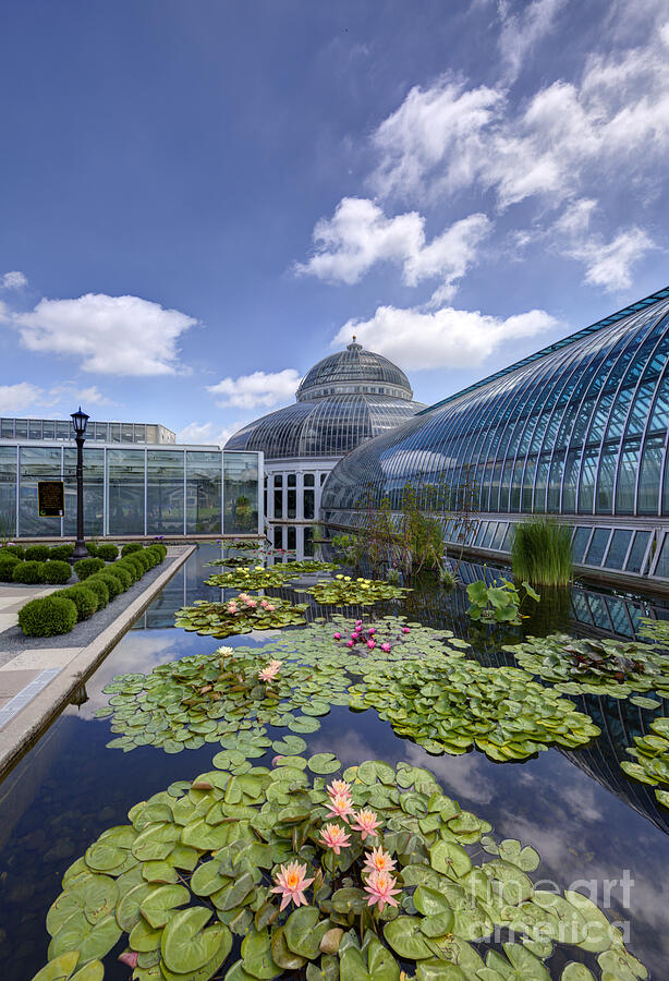 Marjorie Mcneely Conservatory At Como Park And Zoo Photograph by Wayne Moran