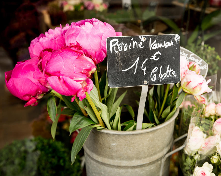 Market Flowers - Paris, France Photograph by Melanie Alexandra Price