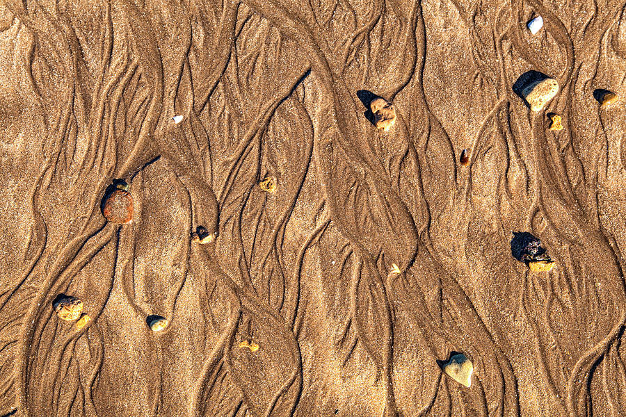 marks in the sand at the coast of the Atlantic Ocean Photograph by Gina Koch