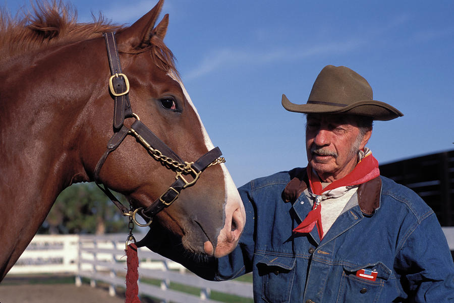 Marlboro Man With His Horse Photograph