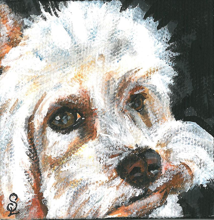 Marley by Sarah Lowe Marley by Sarah Lowe