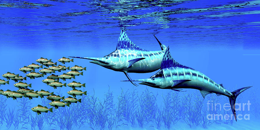 Marlin and Bocaccio Rockfish Digital Art by Corey Ford