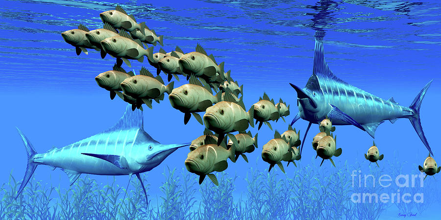 Marlin hunt Bocaccio Rockfish Digital Art by Corey Ford