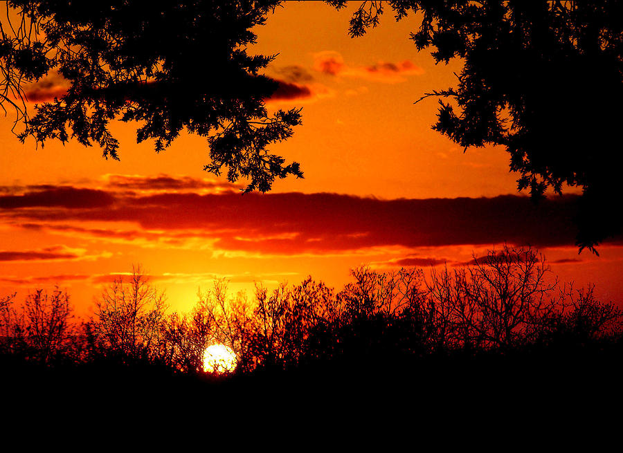 Sunset Photograph - Marmalade by Karen Scovill
