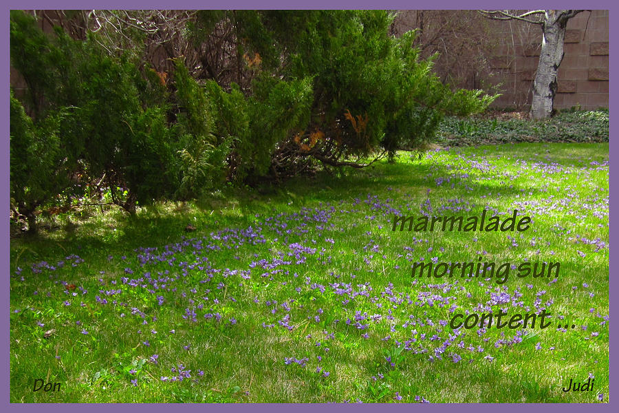 Marmalade Spring Haiga Digital Art by Judi and Don Hall