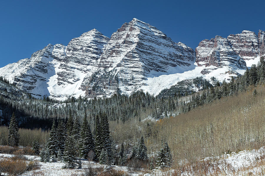 Maroon Bells and Christmas Trees Photograph by Jemmy Archer