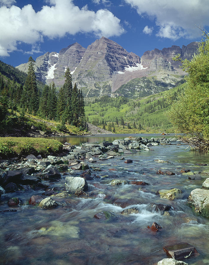 Flower Photograph - 210404-Maroon Bells and Creek  by Ed  Cooper Photography