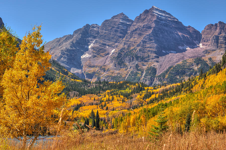 Maroon Bells Gold Photograph by Shane Mossman