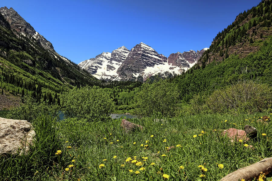 Maroon Bells in Summer 1 Photograph by Judy Vincent
