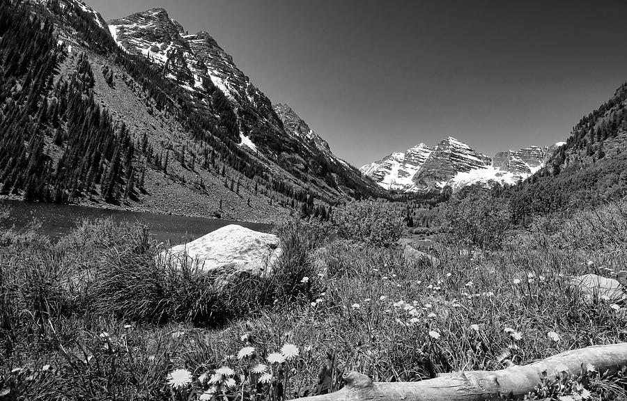Maroon Bells in Summer Black and White Photograph by Judy Vincent