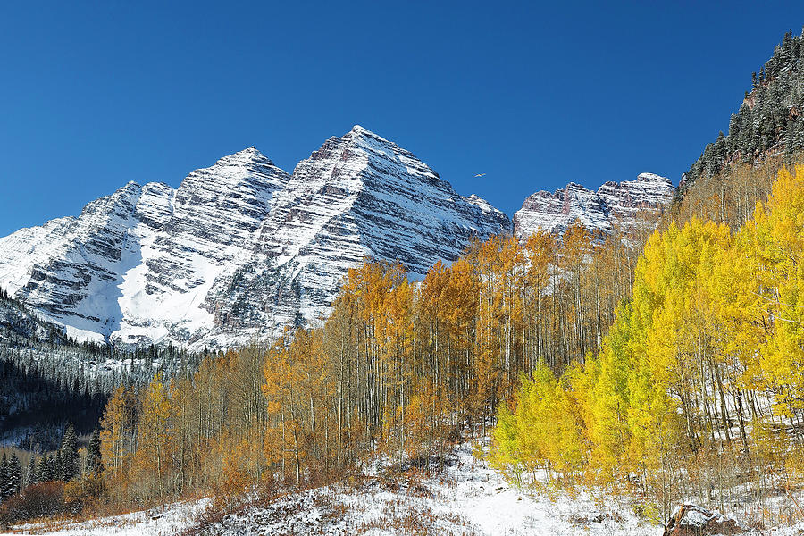 Maroon Bells Scenic Trail Photograph by Jemmy Archer