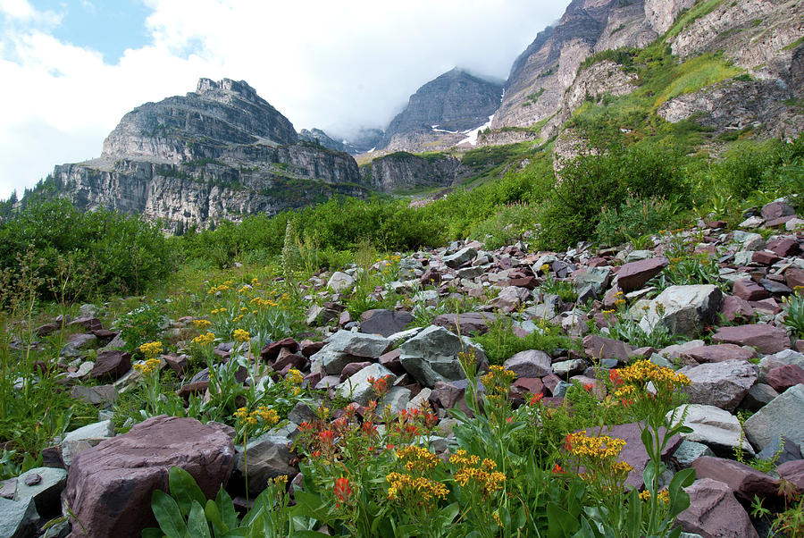 Maroon Bells with Wildflowers Photograph by Cascade Colors