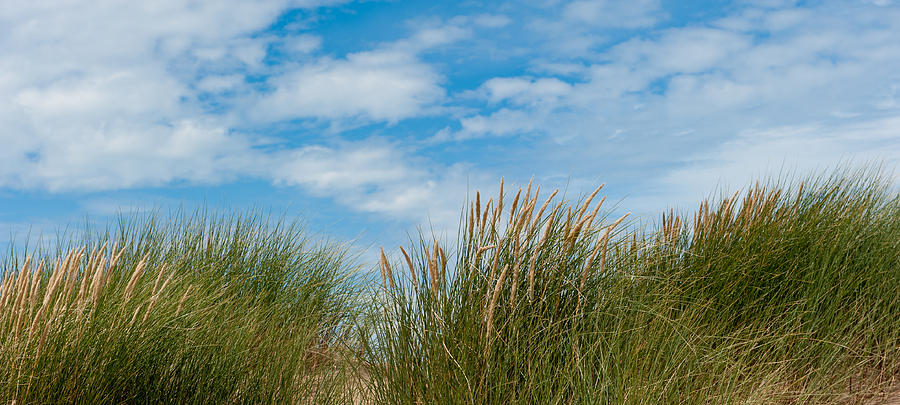 Marram Grass and Sky i Photograph by Helen Jackson