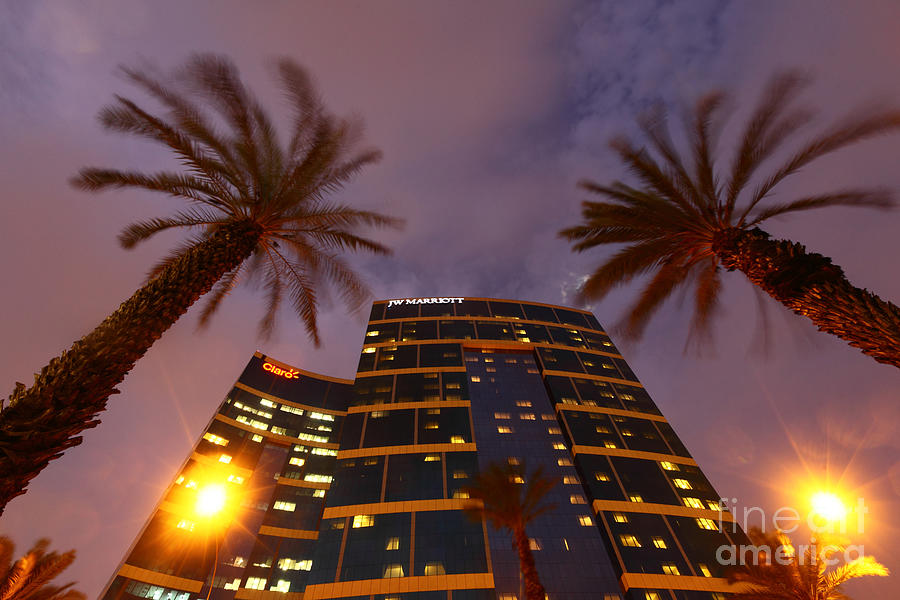 Marriott Hotel and Palm Trees Lima Peru Photograph by James Brunker