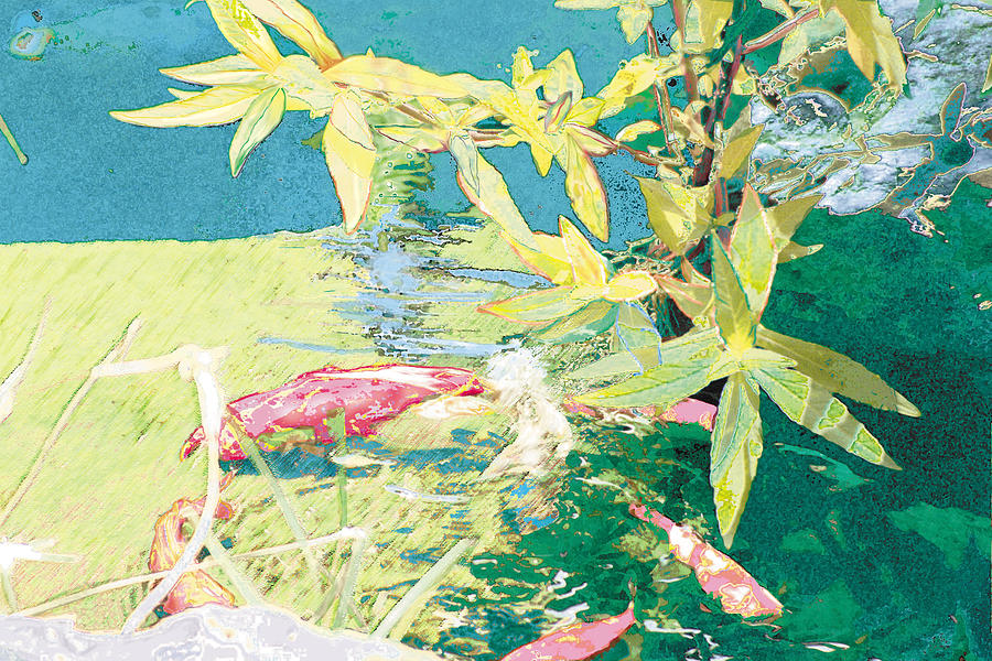 Koi Photograph - Marry-Go-Round Kio In The Spring-May Day by Judy Loper Koi Photograph - Marry-Go-Round Kio In The Spring-May Day by Judy Loper