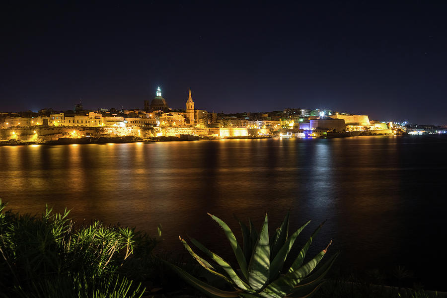 Marsamxett Harbor Night Garden with Valletta Skyline Photograph by Georgia Mizuleva