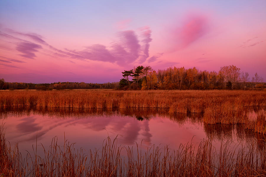 Marsh At Dawn Photograph by Irwin Barrett