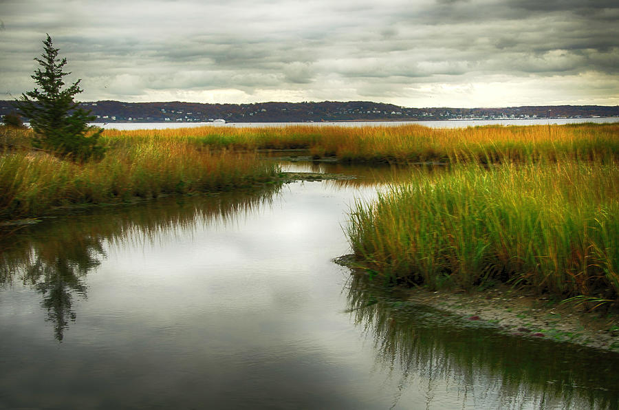 Marsh at Sandy Hook Photograph by Eleanor Bortnick