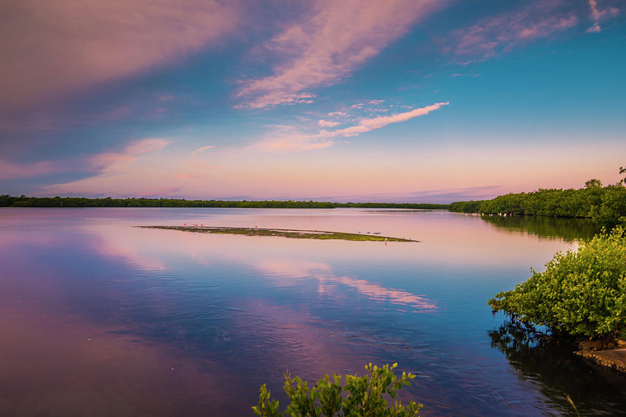 Marsh At Sunrise Photograph by Steven Ainsworth