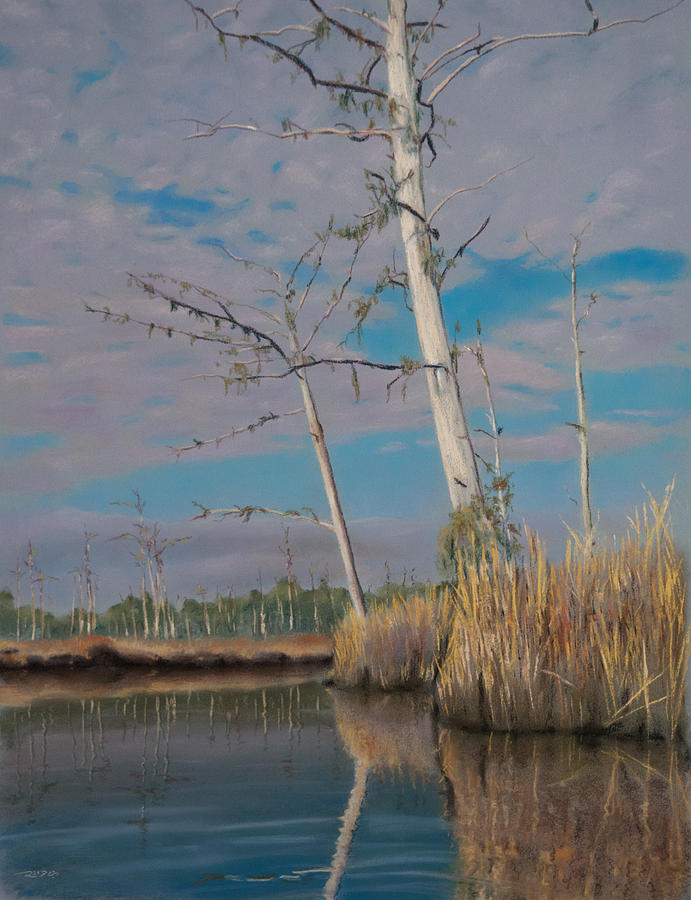 Marsh Pastel by Christopher Reid