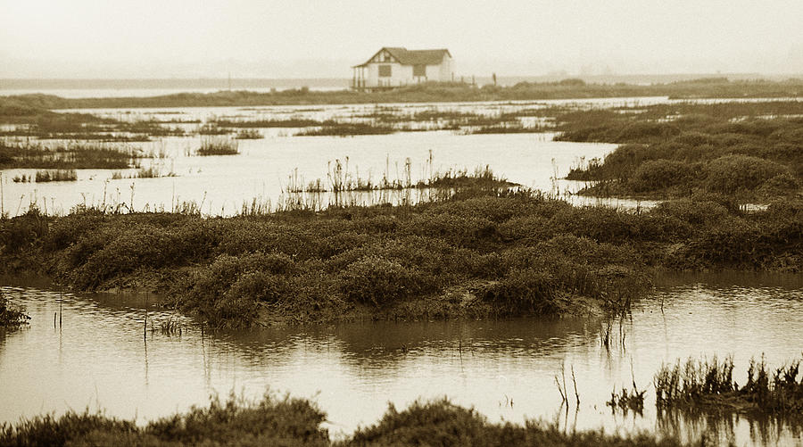 Marsh Dwelling Photograph by Terence Davis