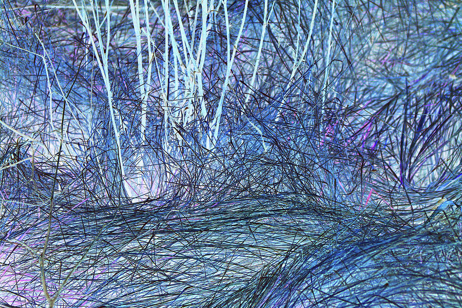 Marsh Grass Abstract 2 Photograph by Mary Bedy