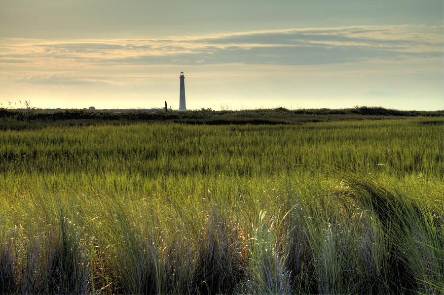 Marsh Grass and Morris Island Lighthouse Photograph by Dustin K Ryan