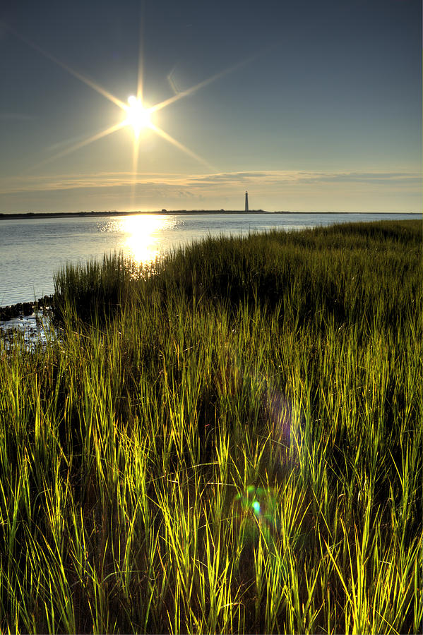Landscape Photograph - Marsh Grass Sunrise by Dustin K Ryan