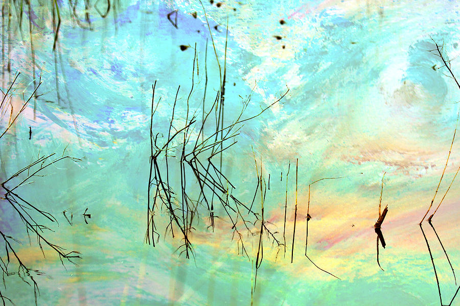 Marsh Grasses - Reflections Painting by Marie Jamieson