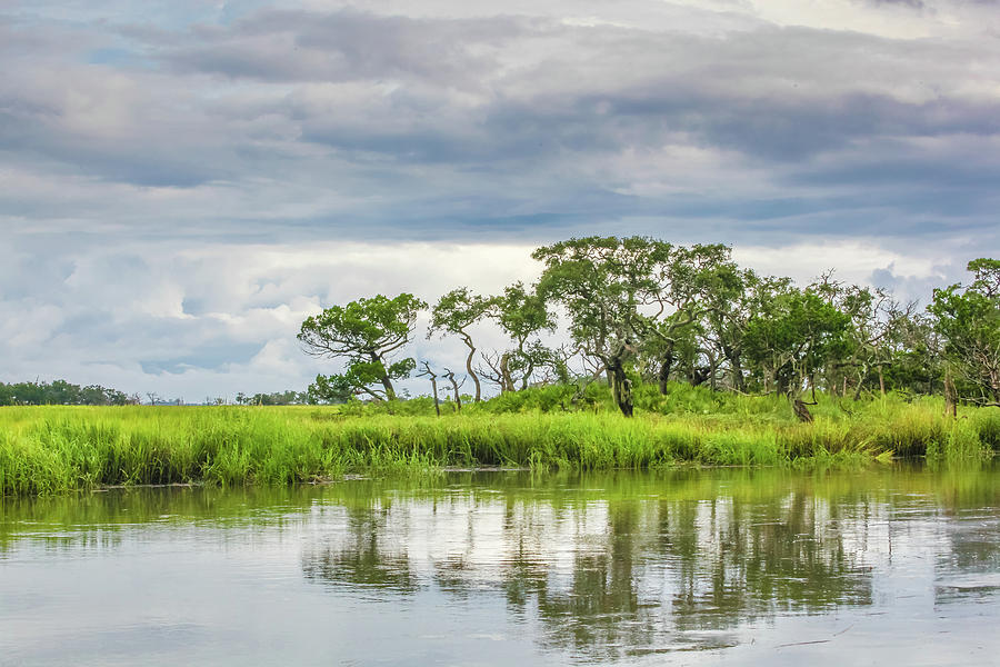 Marsh Hammock Photograph By Barbara Northrup - Fine Art America