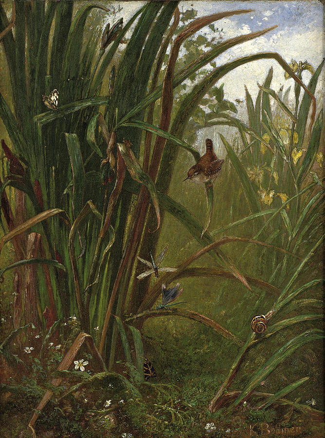 Marsh Interior Painting by Karl Bodmer