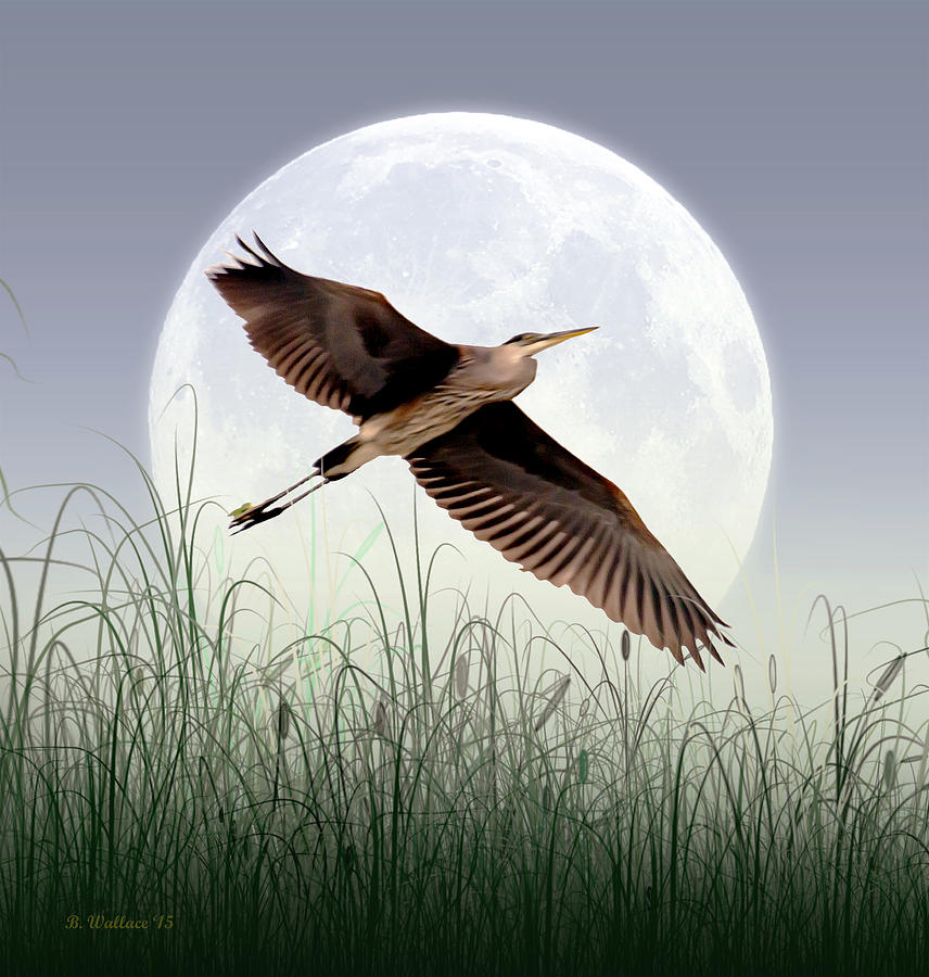 Heron Photograph - Marsh Mellow Moon by Brian Wallace