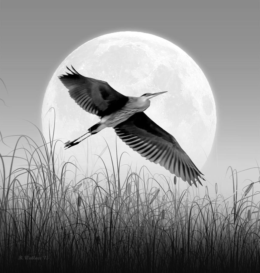 Marsh Mellow Moon - Grayscale Photograph by Brian Wallace