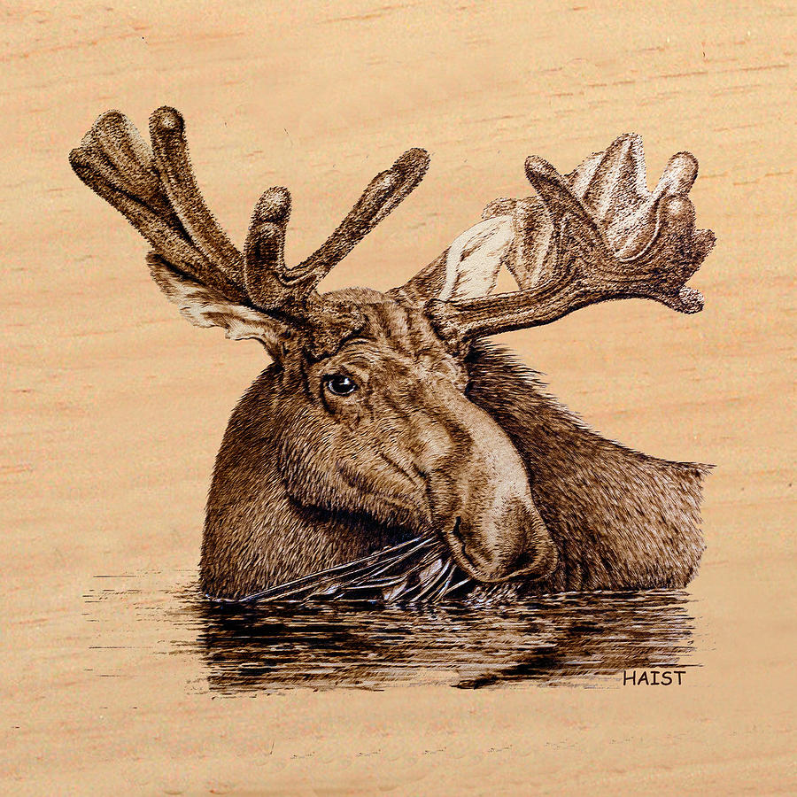Marsh Moose Pillow/bag Pyrography by Ron Haist