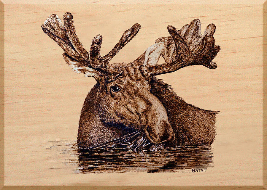 Marsh Moose Pyrography by Ron Haist