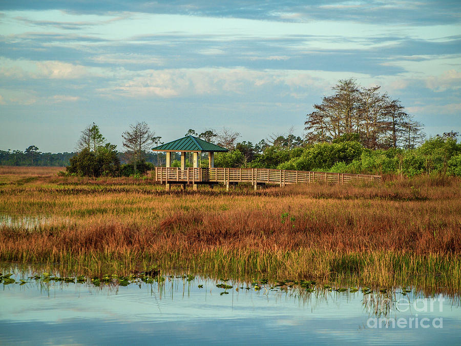 Marsh Observation Deck Photograph by Tom Claud