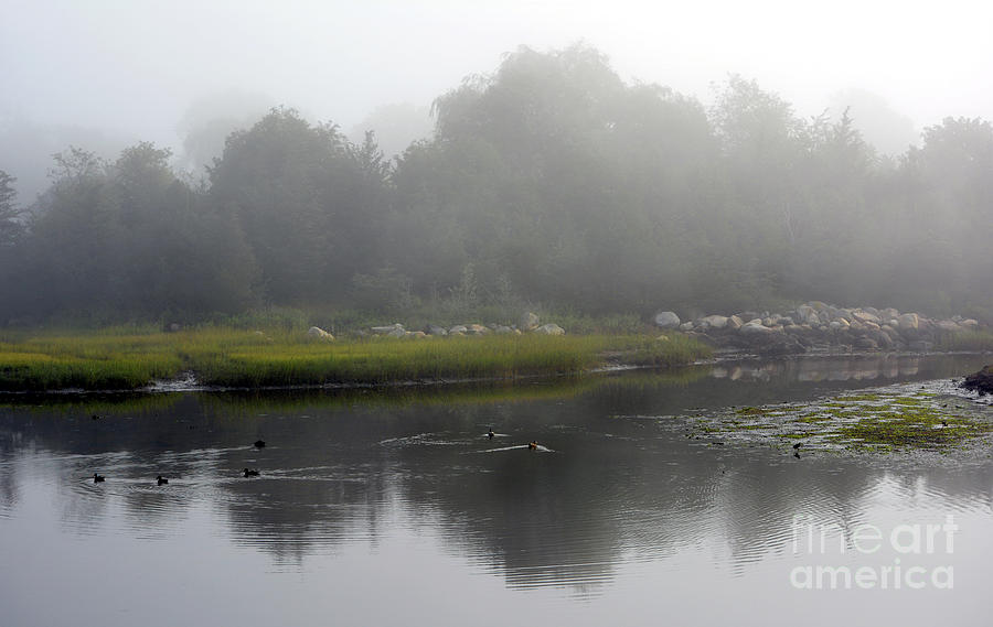 Marsh Reflecting in Fog Digital Art by Dianne Morgado