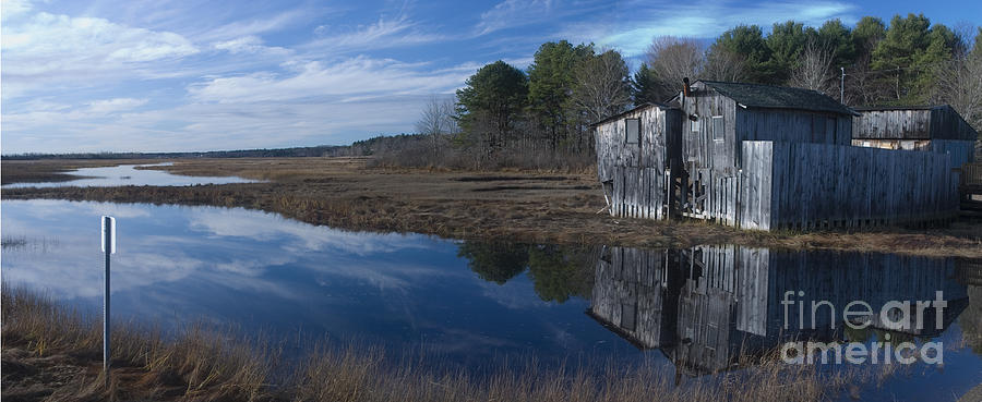 Marsh Reflection Photograph by David Bishop